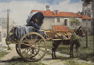 Umgebung von Rom, Fuhrmann transportiert Wein